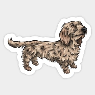 Wirehaired Dachshund Sticker